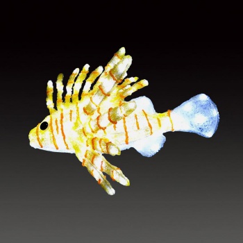 ACR-FISH-MK ACR-FISH-MK LEDクリスタルグローミノカサゴ