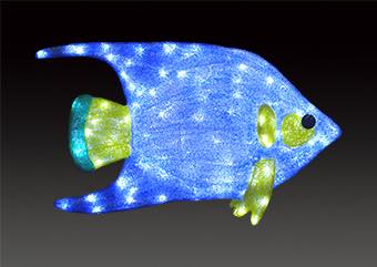 ACR-FISH-QE LEDクリスタルグロークイーンエンゼルフィッシュ