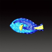 ACR-FISH-GB LEDクリスタルグローゴールデンバタフライ